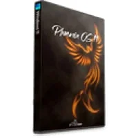 Windows 10 Pro Phoenix Gamer LiteOS